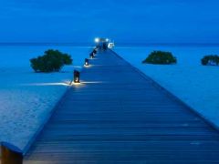 Holiday Island in the Evening