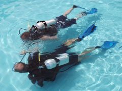 Water Sports and Diving